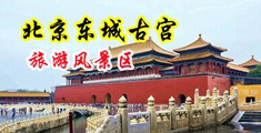 操逼高级大毛片中国北京-东城古宫旅游风景区